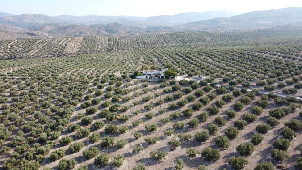 Fuente-Tojar Casa De Familia Cortijo La Cubertilla מראה חיצוני תמונה